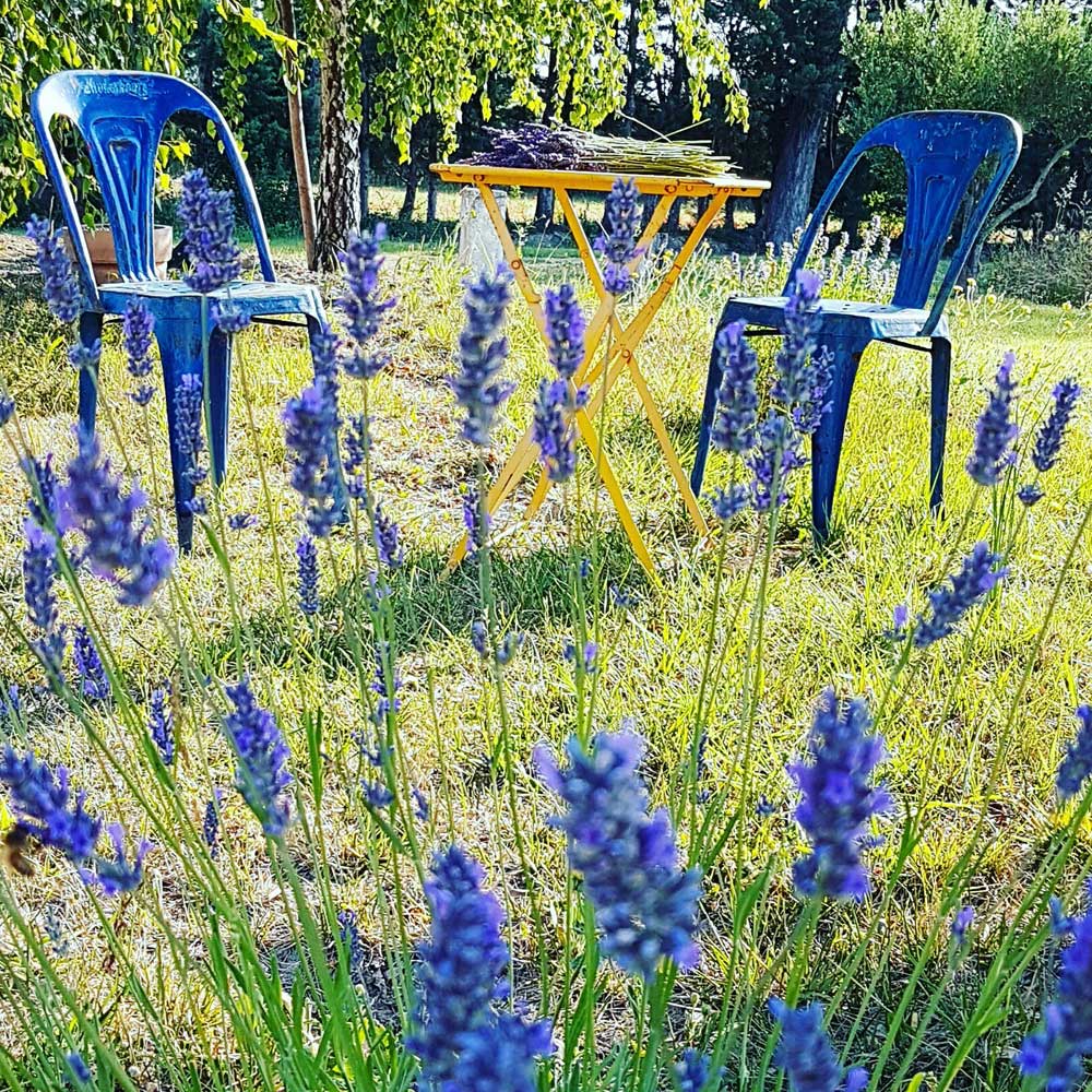 Ambiance à la Fontaine de Cérier